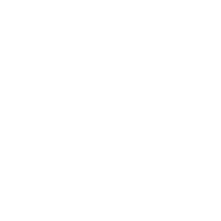 Operational Risk & Fraud